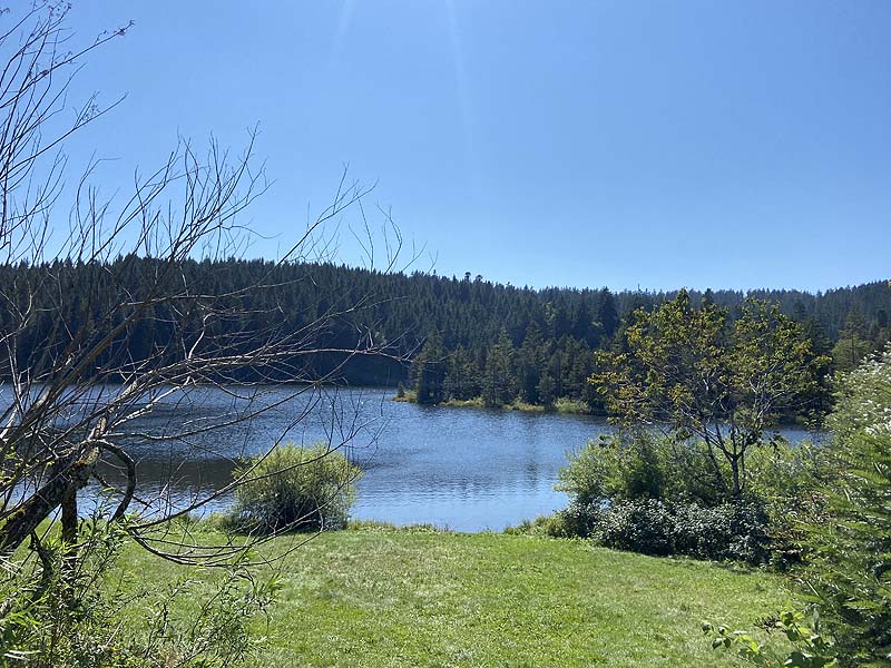 Der Badesee Eschacher Weiher in Buchenberg