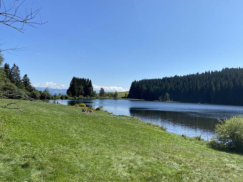 Der Badesee Eschacher Weiher in Buchenberg