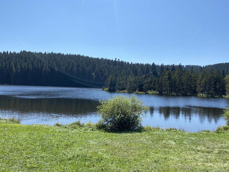 Der Badesee Eschacher Weiher in Buchenberg