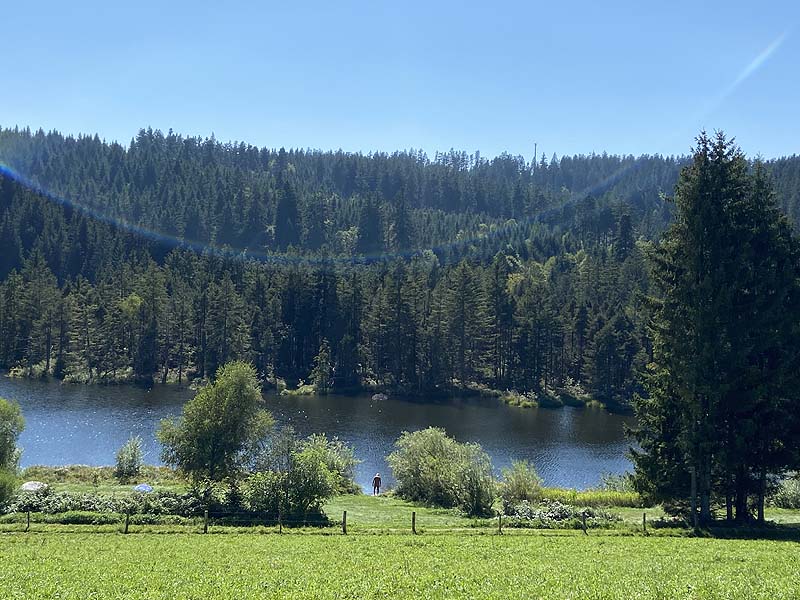 Der Badesee Eschacher Weiher in Buchenberg
