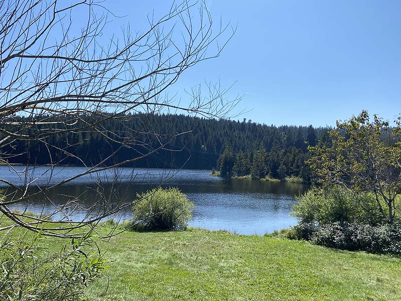 Der Badesee Eschacher Weiher in Buchenberg
