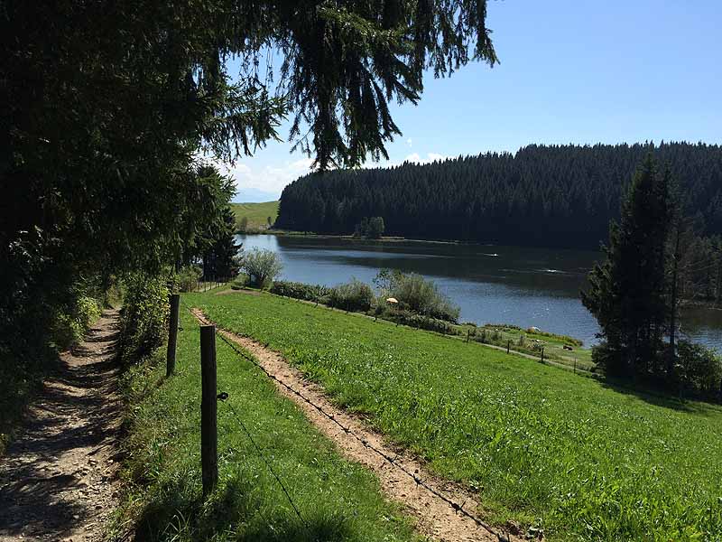 Eschacher Weiher (Kempten/Allgäu, Bayern)