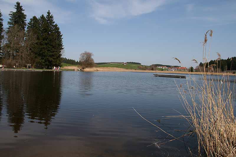 Ettwieser Weiher (Bayern)