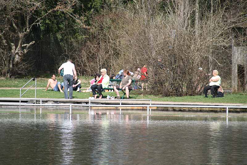 Ettwieser Weiher (Bayern)