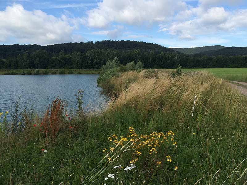 Kiesgrube (Fambach, Thüringen)