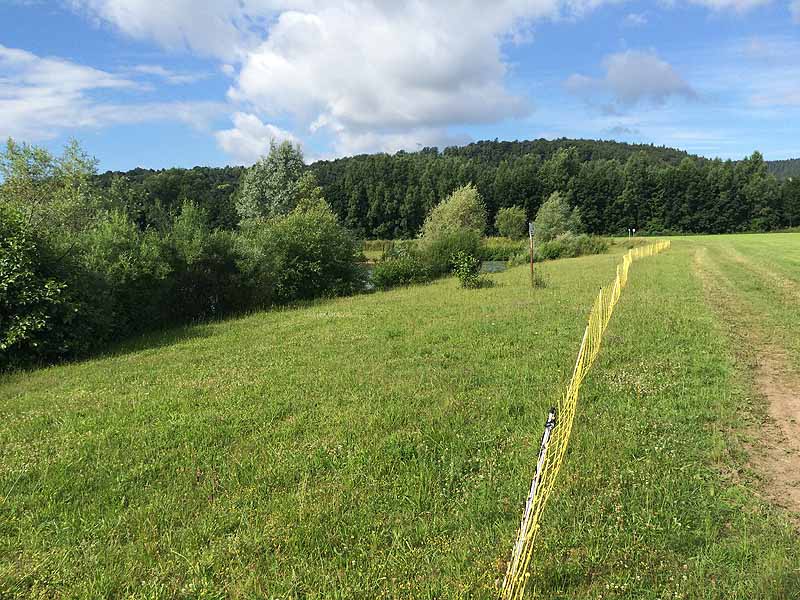 Kiesgrube (Fambach, Thüringen)