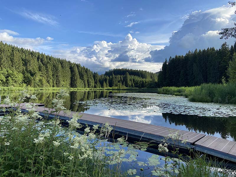 Der Badesee Faulensee in Rieden a. Forggensee