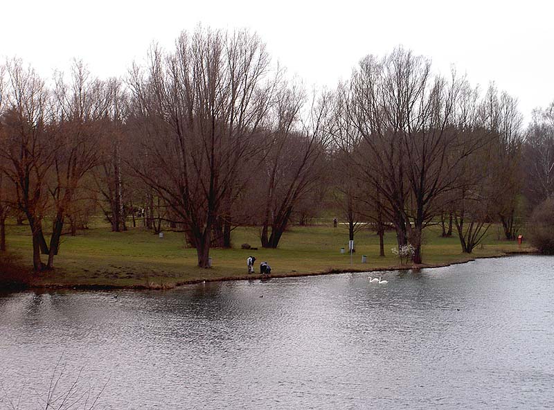 Der Feldmochinger See in München