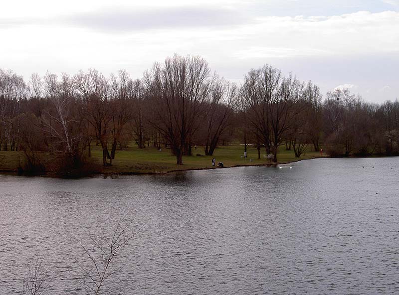 Der Feldmochinger See in München