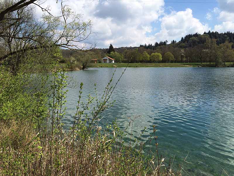 Filzinger Baggersee (Kirchberg an der Iller, Bayern)