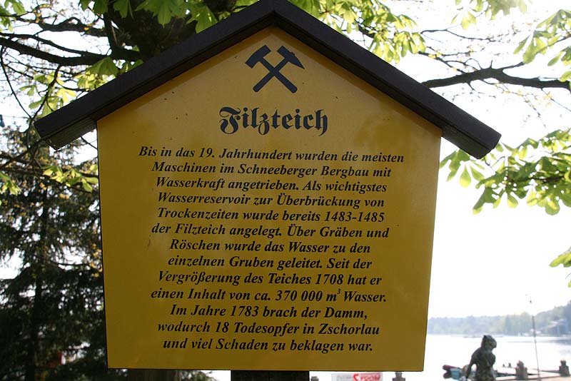 Filzteich (Schneeberg, Sachsen)
