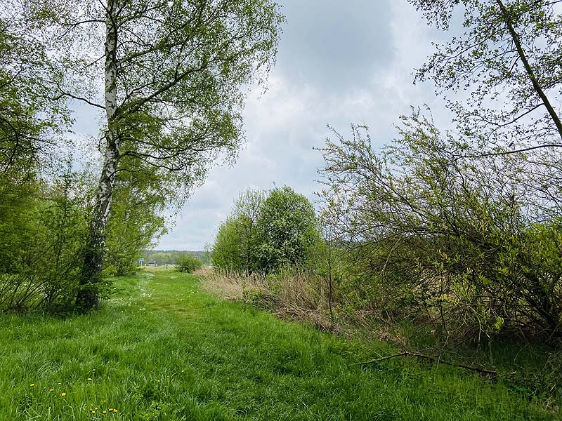 Der FKK Bereich am Stausee Hohenfelden in Thüringen