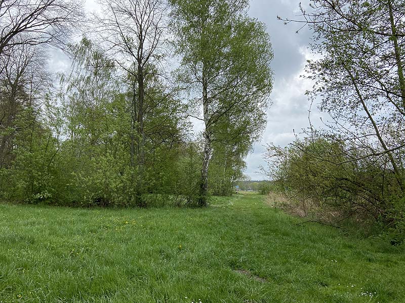 Der FKK Bereich am Stausee Hohenfelden in Thüringen