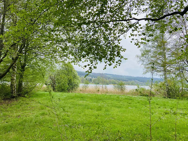 Der FKK Bereich am Stausee Hohenfelden in Thüringen