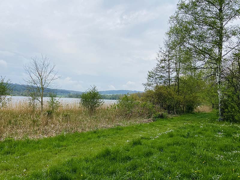 Der FKK Bereich am Stausee Hohenfelden in Thüringen