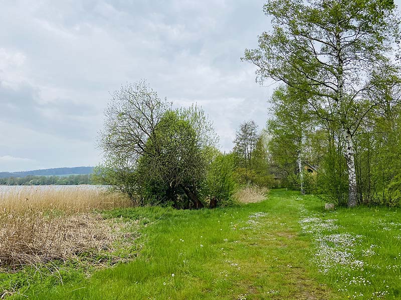 Der FKK Bereich am Stausee Hohenfelden in Thüringen