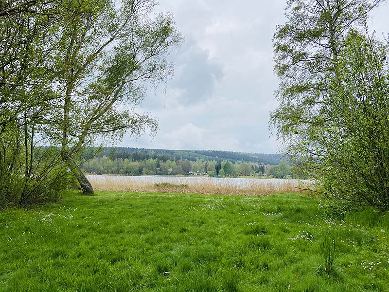 Der FKK Bereich am Stausee Hohenfelden in Thüringen