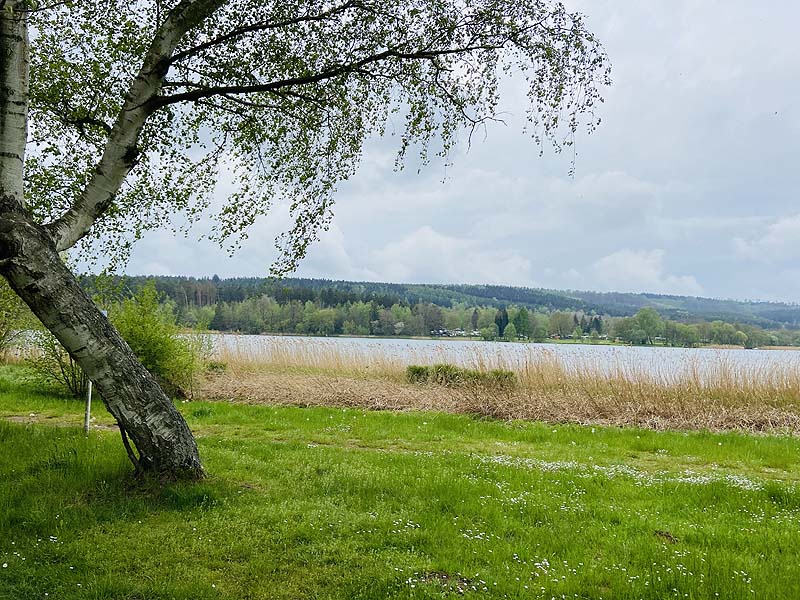 Der FKK Bereich am Stausee Hohenfelden in Thüringen