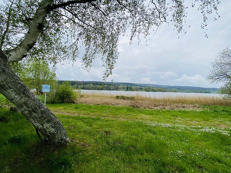 Der FKK Bereich am Stausee Hohenfelden in Thüringen