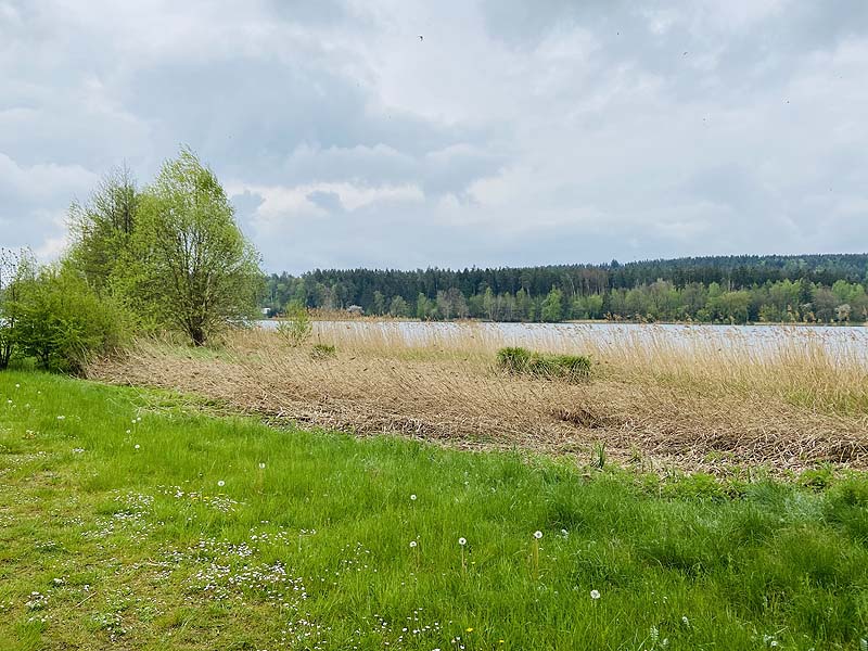 Der FKK Bereich am Stausee Hohenfelden in Thüringen