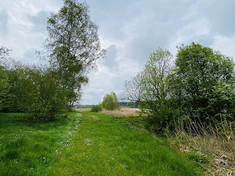 Der FKK Bereich am Stausee Hohenfelden in Thüringen