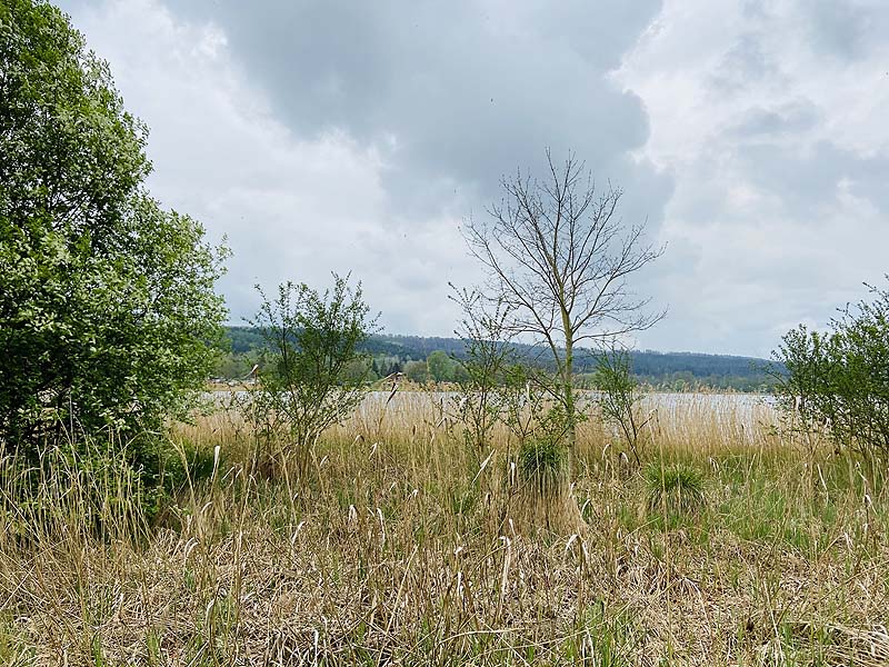 Der FKK Bereich am Stausee Hohenfelden in Thüringen