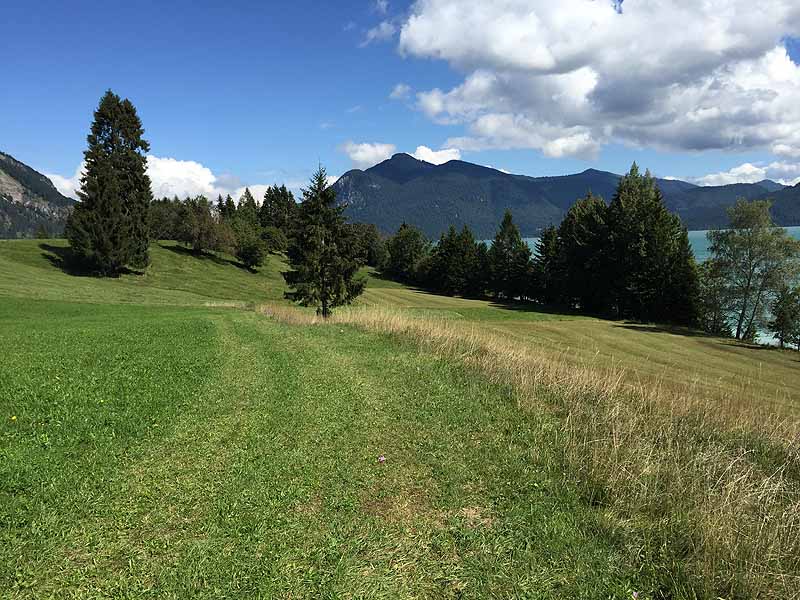 Halbinsel Zwergern im Walchensee (Walchensee, Bayern)