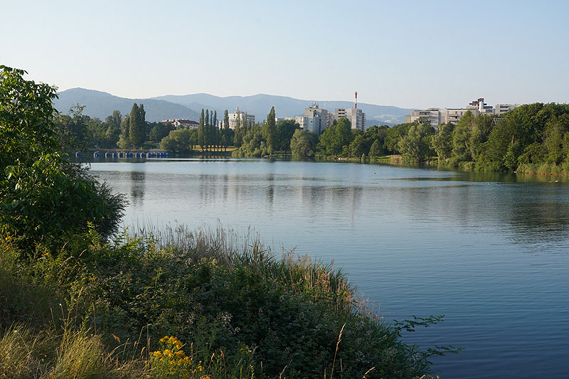 Der FKK Bereich am Flückiger See in Freiburg im Breisgau