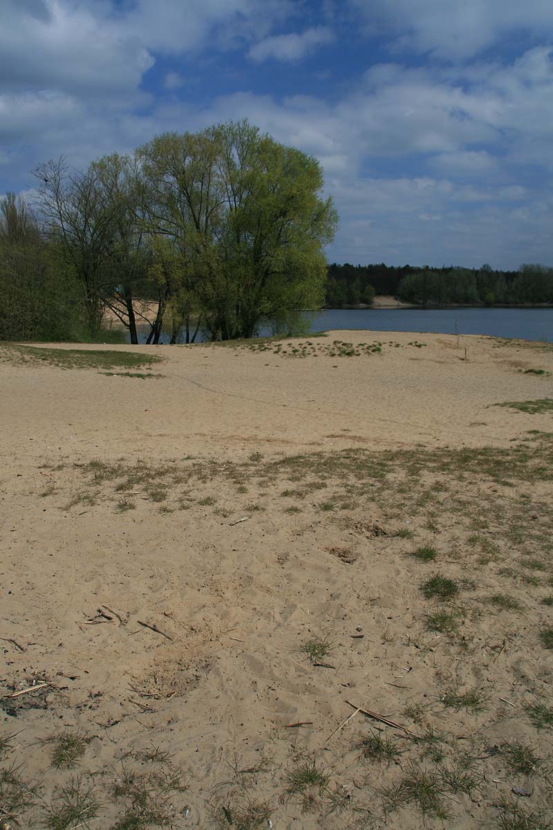 Der Flughafensee in Berlin