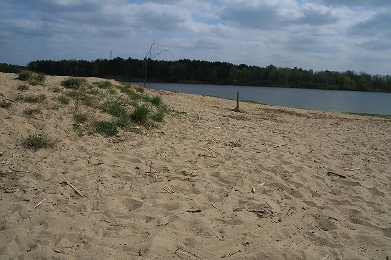 Der Flughafensee in Berlin