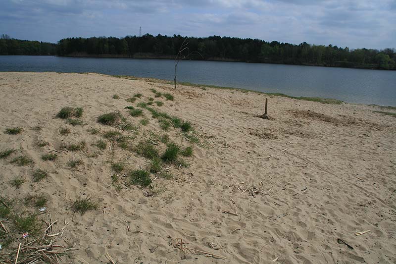 Der Flughafensee in Berlin