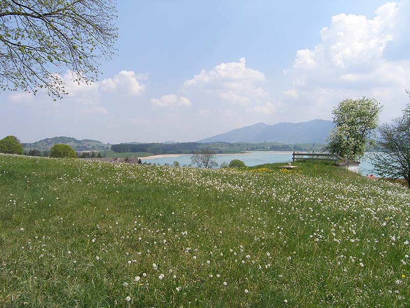 Forggensee (Bayern)