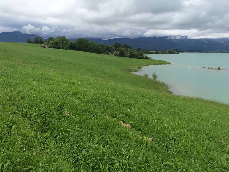 Forggensee Nordufer (Füssen, Bayern)