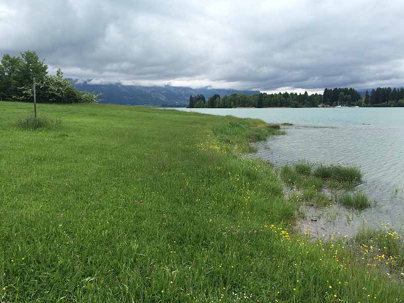 Forggensee Nordufer (Füssen, Bayern)