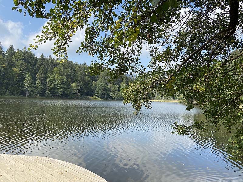 Der Badesee Freudensee in Hauzenberg