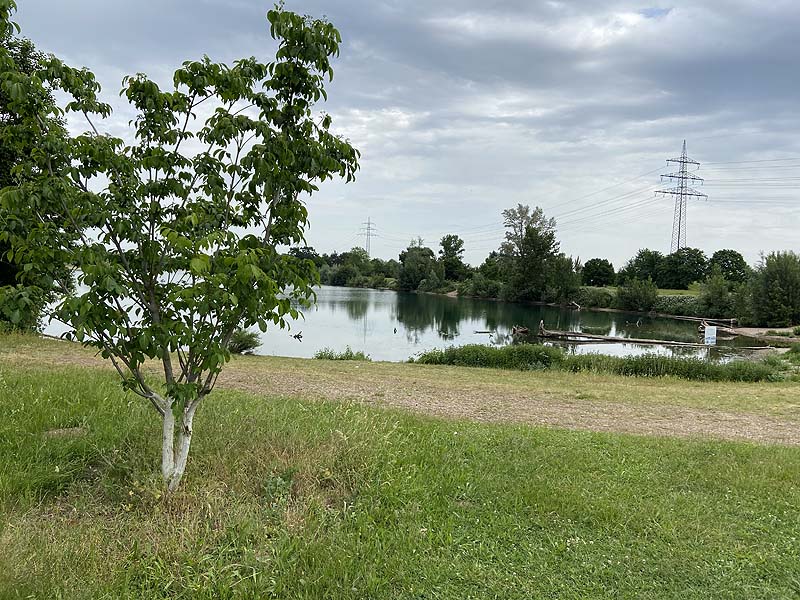 Der Badesee Strandbad Gifiz in Offenburg in Baden-Württemberg