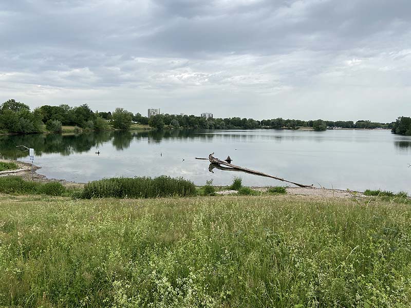 Der Badesee Strandbad Gifiz in Offenburg in Baden-Württemberg
