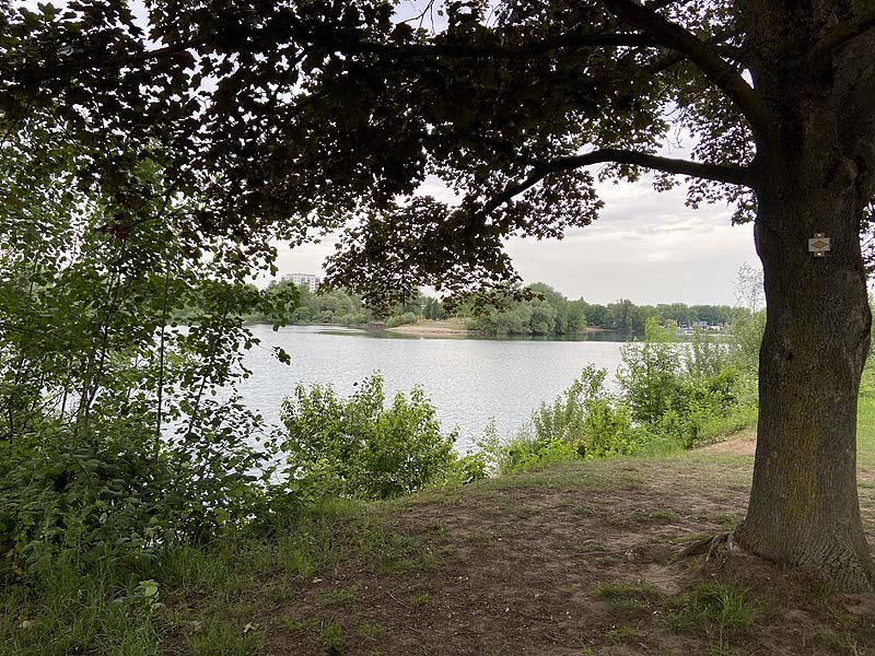 Der Badesee Strandbad Gifiz in Offenburg in Baden-Württemberg