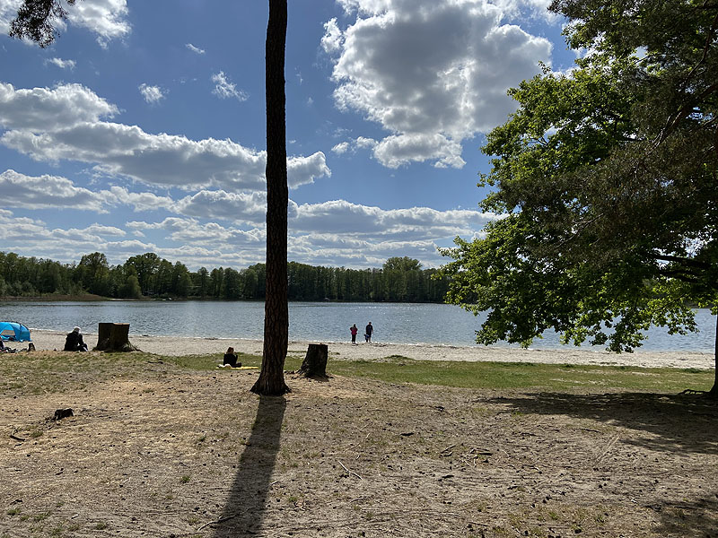 Der Gorinsee bei Gorinsee (Brandenburg)