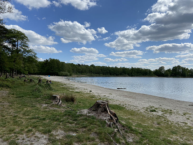 Der Gorinsee bei Gorinsee (Brandenburg)