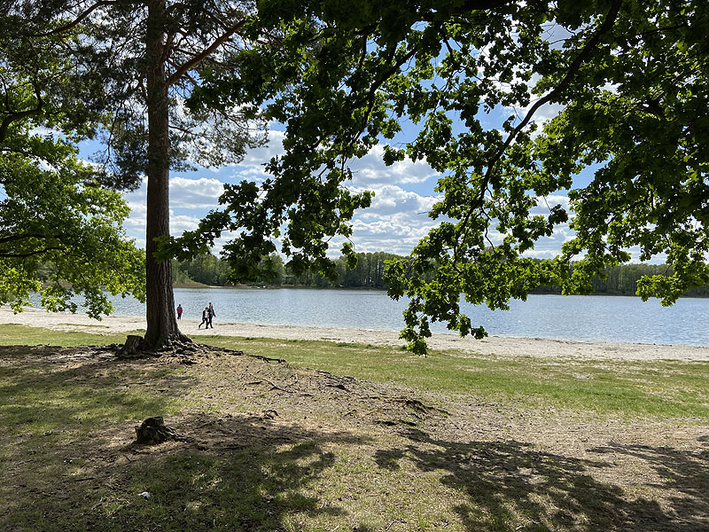 Der Gorinsee bei Gorinsee (Brandenburg)