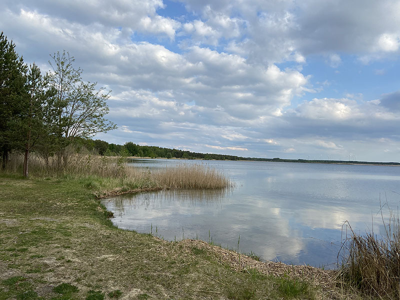 Gräbendorfer See (Cottbus, Brandenburg)