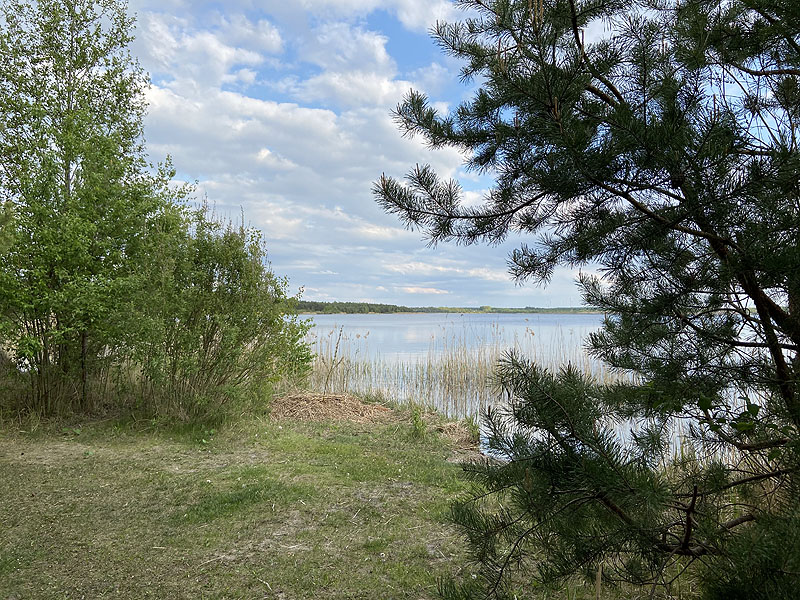 Gräbendorfer See (Cottbus, Brandenburg)
