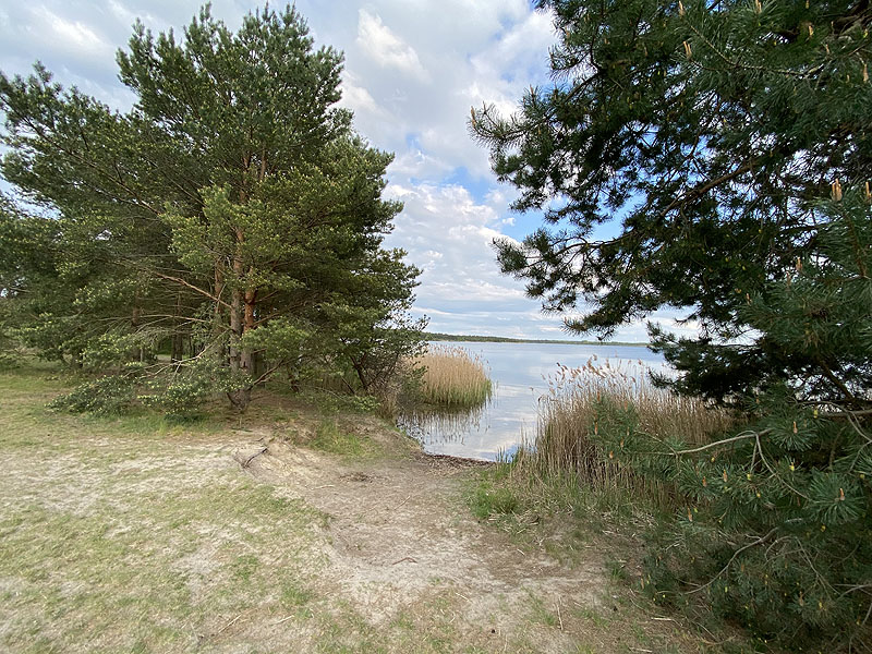 Gräbendorfer See (Cottbus, Brandenburg)