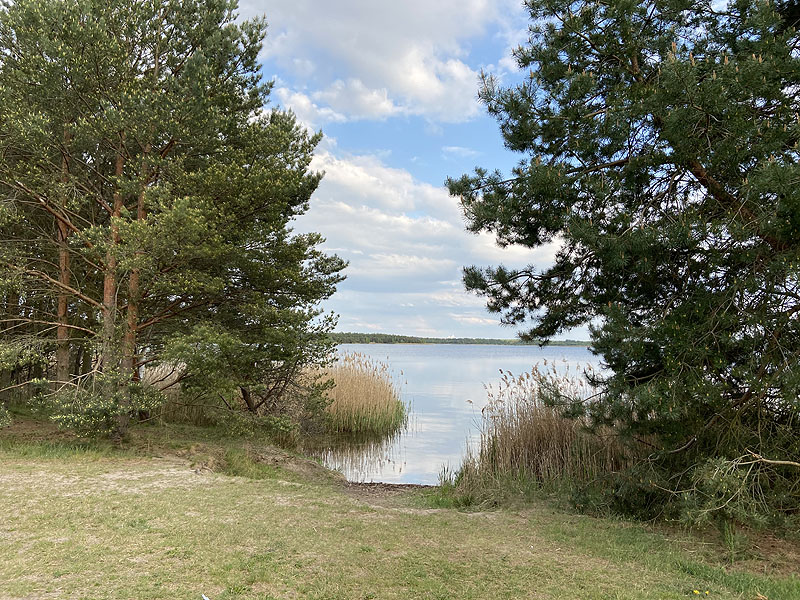 Gräbendorfer See (Cottbus, Brandenburg)