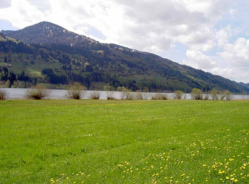 Großer und Kleiner Alpsee (Bayern)
