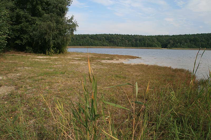 Großer Kolpiner See (Kolpin, Brandenburg)