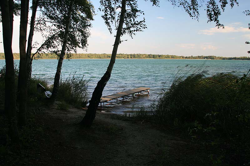 Grünewalder Lauch (Grünewalde, Brandenburg)