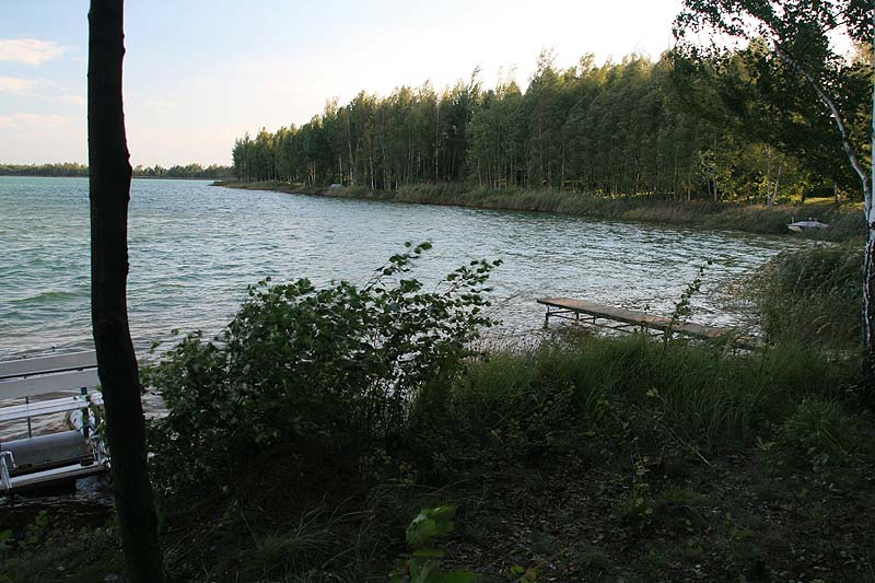 Grünewalder Lauch (Grünewalde, Brandenburg)