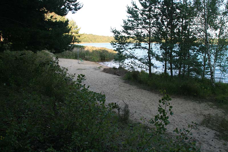 Grünewalder Lauch (Grünewalde, Brandenburg)